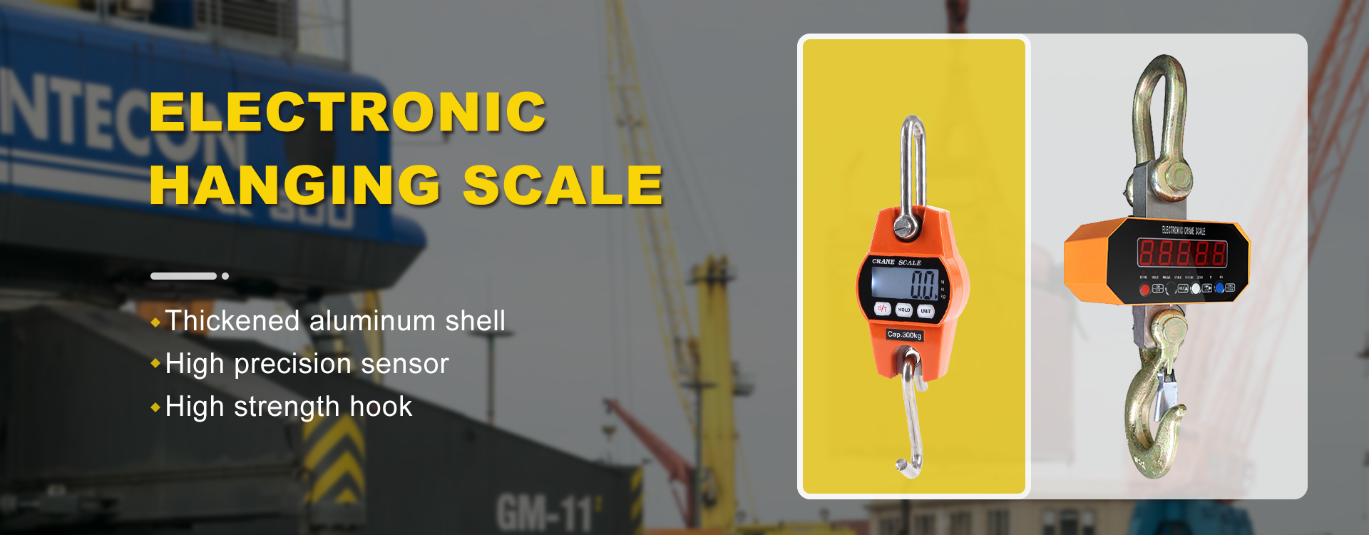 Crane Scale Banner